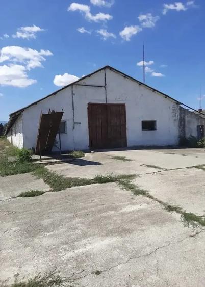 Spațiu comercial, de 996 mp, în Mândra
