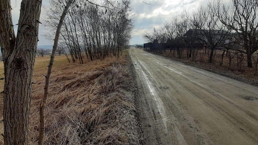 Teren agricol extravilan de 3684 mp, în Iris
