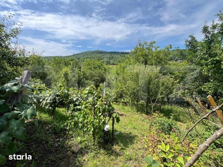 Teren intravilan 11,68 ari priveliste superba spre vale, aproape d - 4