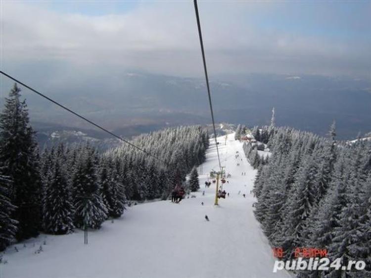 Teren de 32000 mp, în Petros