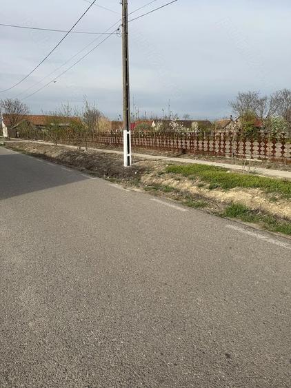 Teren de 1658 mp, în Iecea Mare