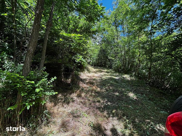 Teren de 6857 mp, în Bujoreni