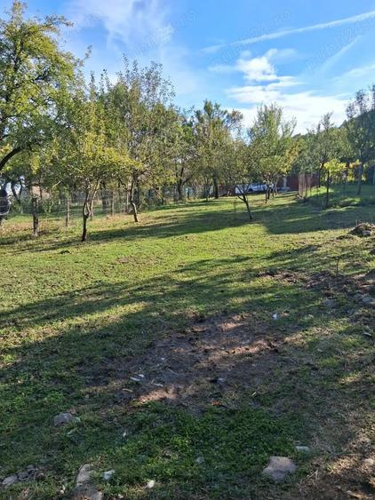 Teren de 1071 mp, în Central