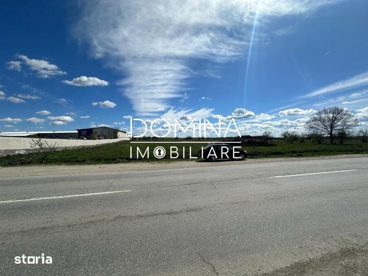 Teren de 10339 mp, în Narciselor