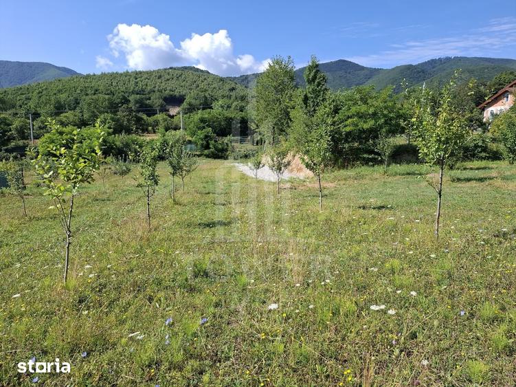 Teren de 650 mp, în Sadu