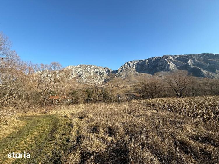 Teren de 1250 mp, în Râmeț