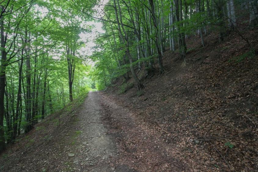 Teren Construcții intravilan de 299 mp, în Sinaia