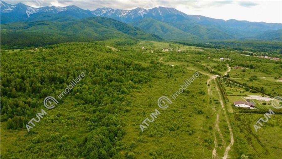 Teren extravilan de 2000 mp, în Porumbacu de Sus