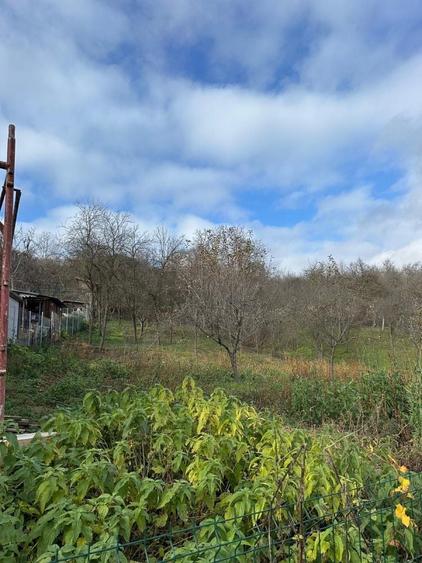 Teren de 2156 mp, în Suceagu