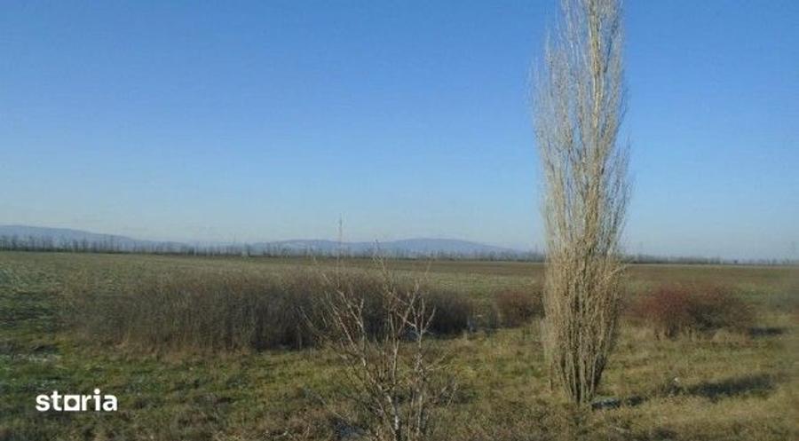 Teren de 5800 mp, în Central