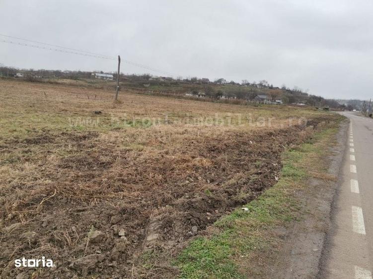 Teren de 17000 mp, în Nufăru