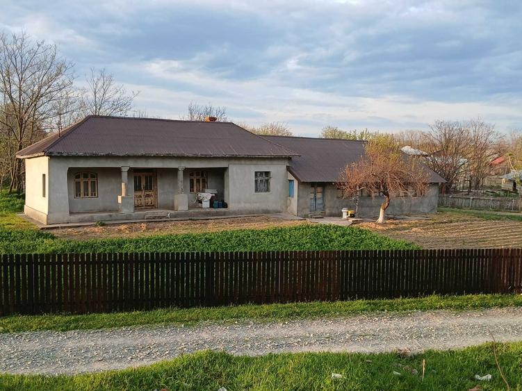 Casa + Teren Radovanu jud Calarasi - 7