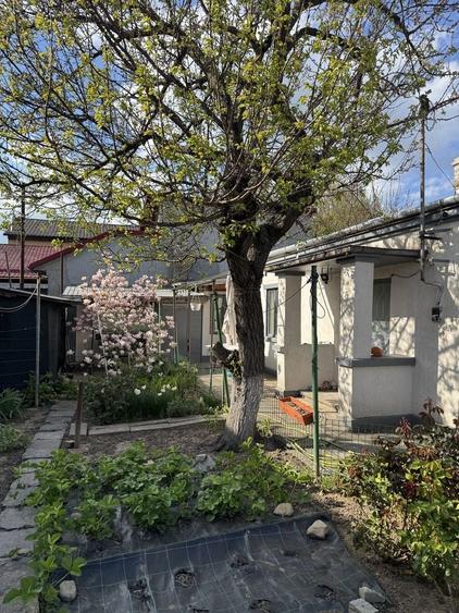 Casă cu 3 camere în Centură