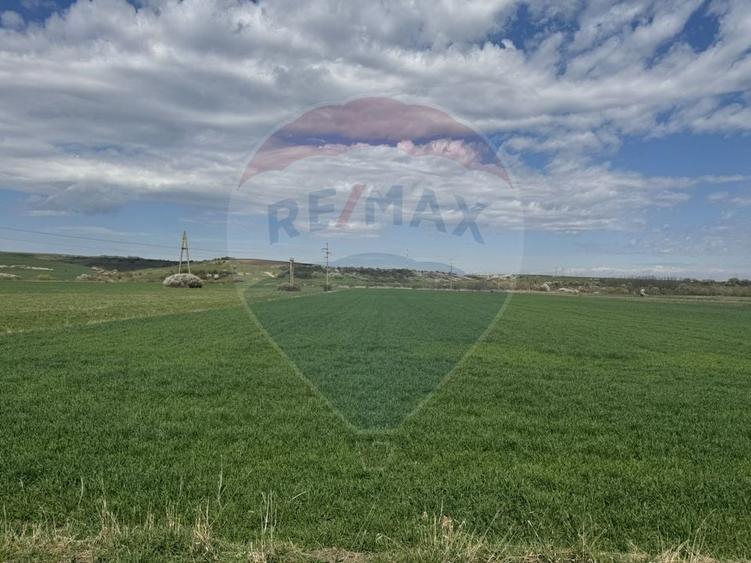 Teren Construcții extravilan de 8600 mp, în Luna de Jos
