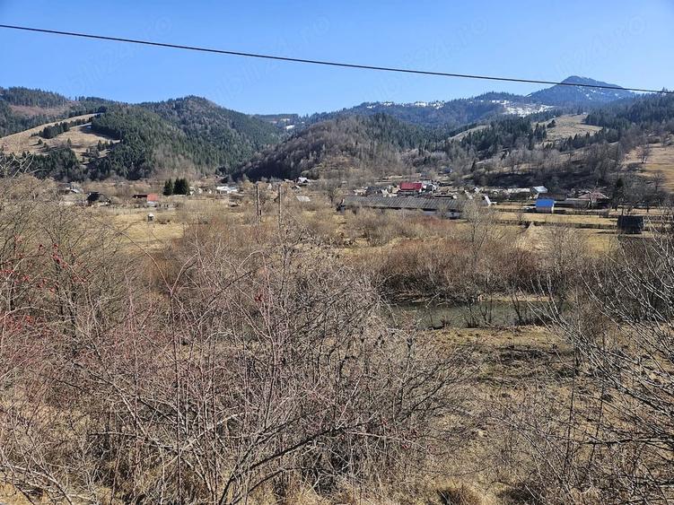 Teren de 28000 mp, în Tulgheș