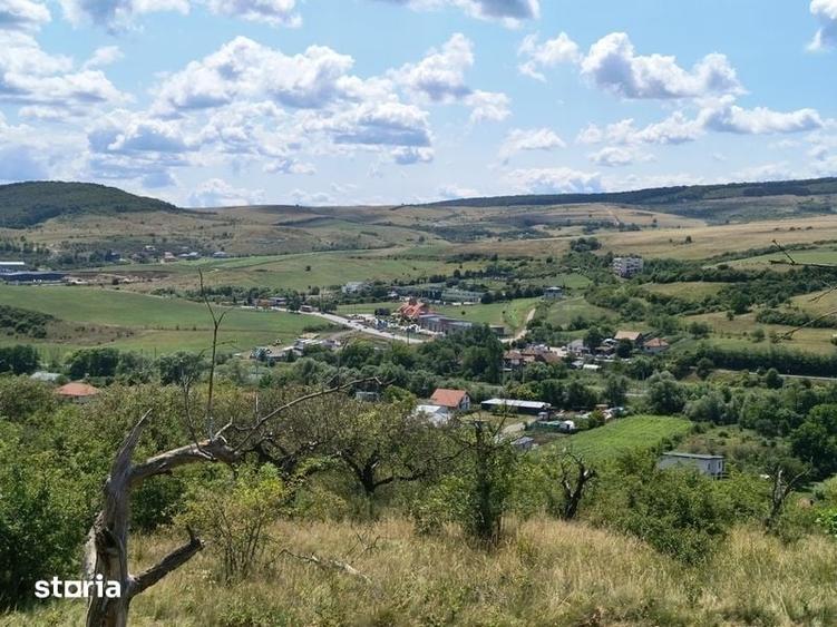 Teren de 8000 mp, în Baciu