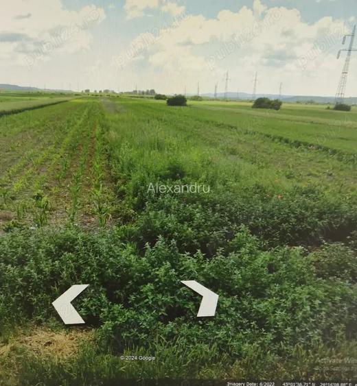Vand teren extravilan in com. Mihaesti, Valcea 2534 mp