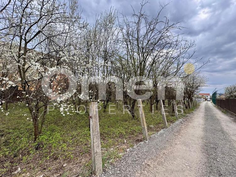Teren agricol intravilan de 800 mp, în Valea Borcutului