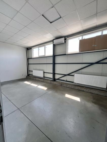 Hala din panouri 864 mp cu platforma betonata B-dul Muncii - 12