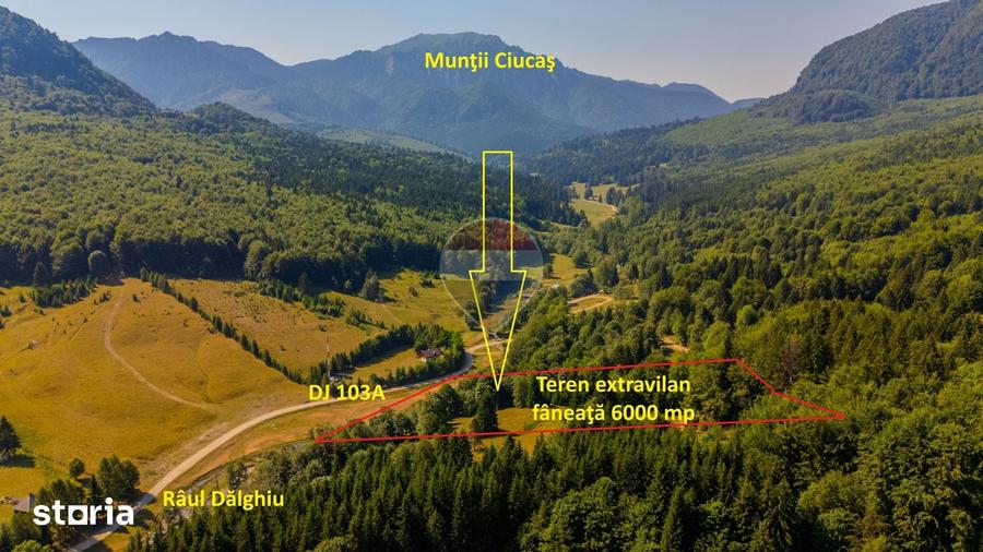 Teren 6000 mp, Valea Dalghiului - Vama Buzaului - vedere catre Ciuca? - 5