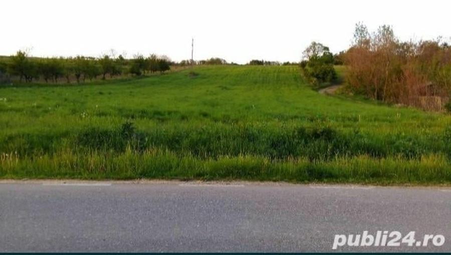 Teren în Albota