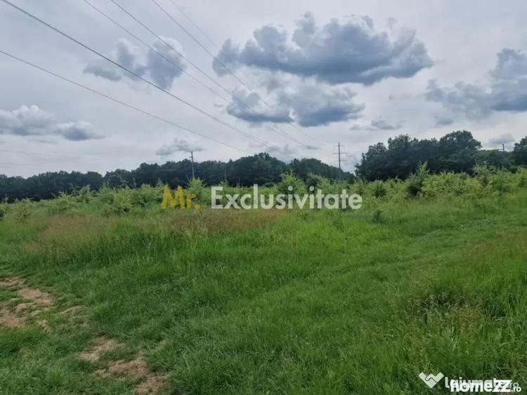 Teren de 12421 mp, în Central