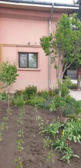 Casă cu 3 camere în Central