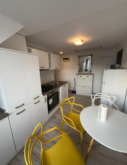CI634 Dorobantilor,2 camere,centrala,Renovat - 10