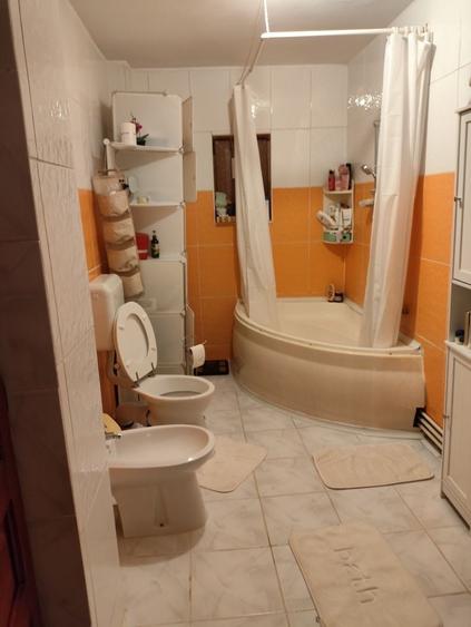 Casă cu 3 camere în Viile Noi