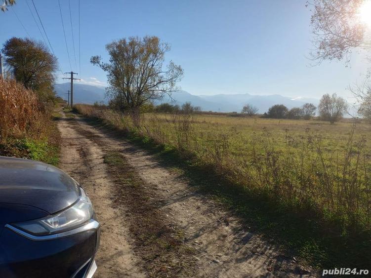 Teren în Ileni