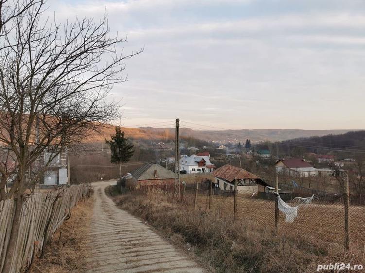 Teren de 6000 mp, în Priboieni