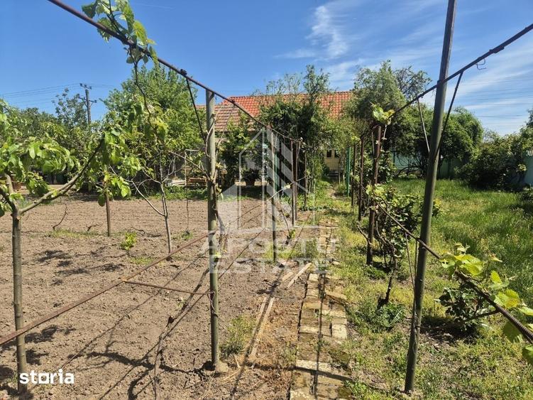 Casă cu 5 camere cu Teren 1450 Mp în Central
