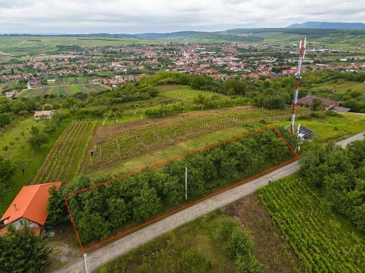 Teren de 7200 mp, în Crasna