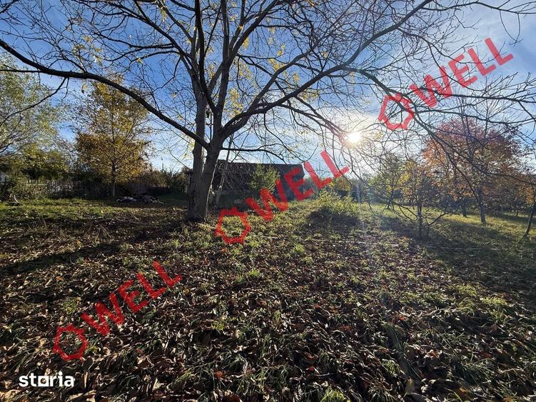 Casă cu Teren 4831 Mp în Bran
