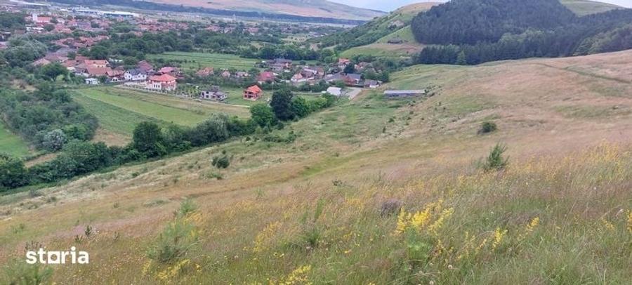 Teren de 7300 mp, în Florești