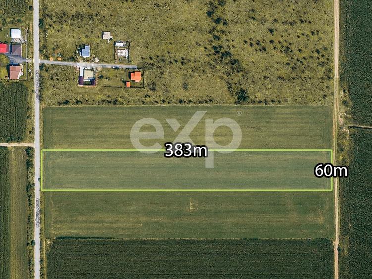 Teren agricol intravilan de 23000 mp, în Buziaș