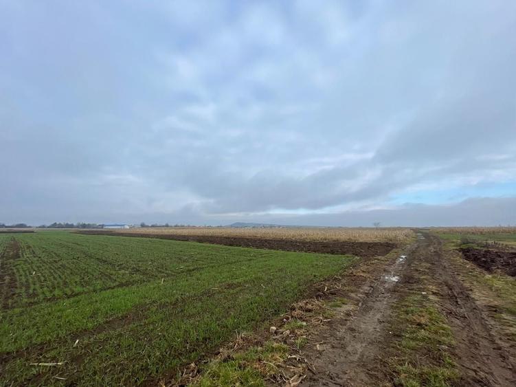 Teren agricol extravilan de 1300 mp, în Marginea