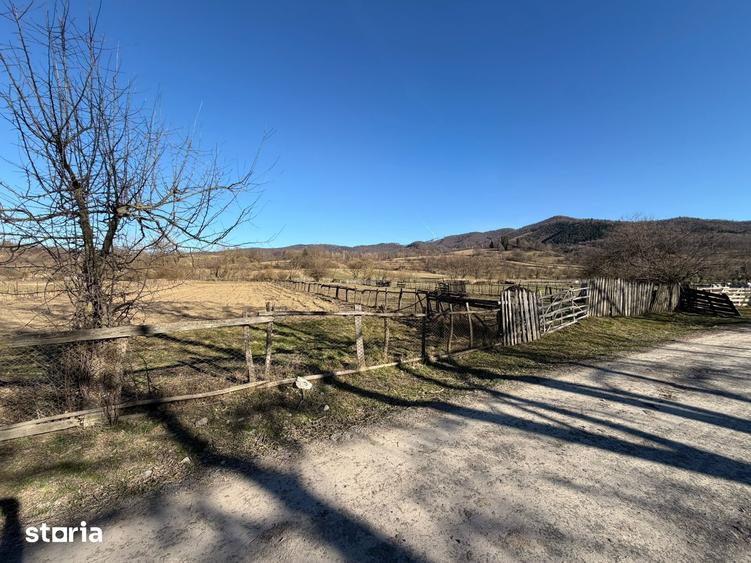 Teren de 1015 mp, în Șinca