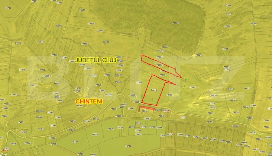 EXCLUSIVITATE - teren extravilan, 23 000 mp, Feiurdeni - 1