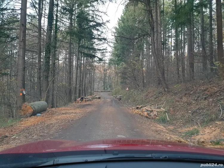 Teren de 1304 mp, în Central