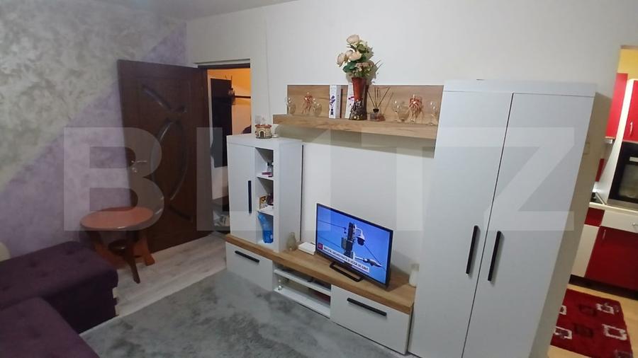 Apartament cu 2 camere nedecomandat, mobilat în Mureșeni