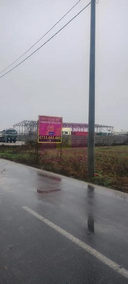 Teren de 5050 mp, în Dragomirești-Vale