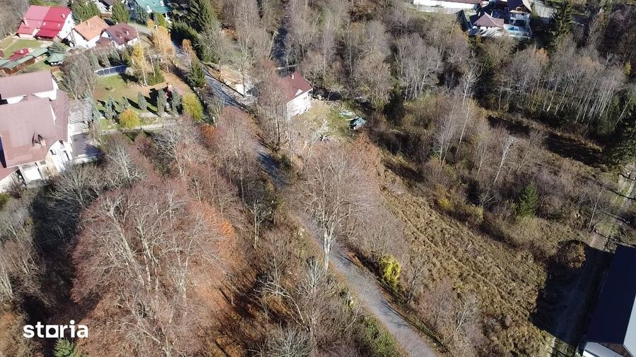 Teren de 3600 mp, în Zăvoi