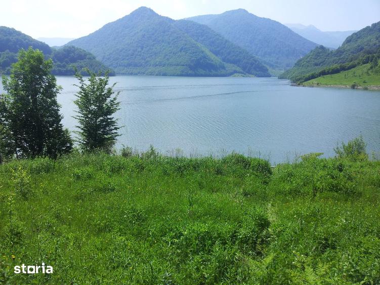 Teren de 73000 mp, în Siriu