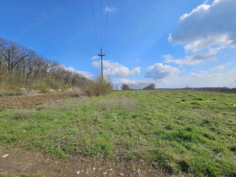 Teren de 2509 mp, în Snagov