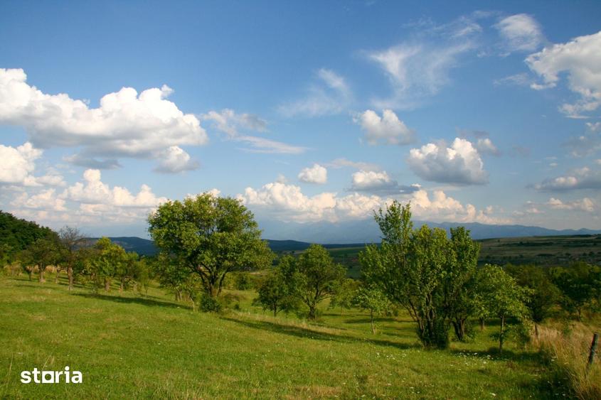 Teren de 600 mp, în Roșia