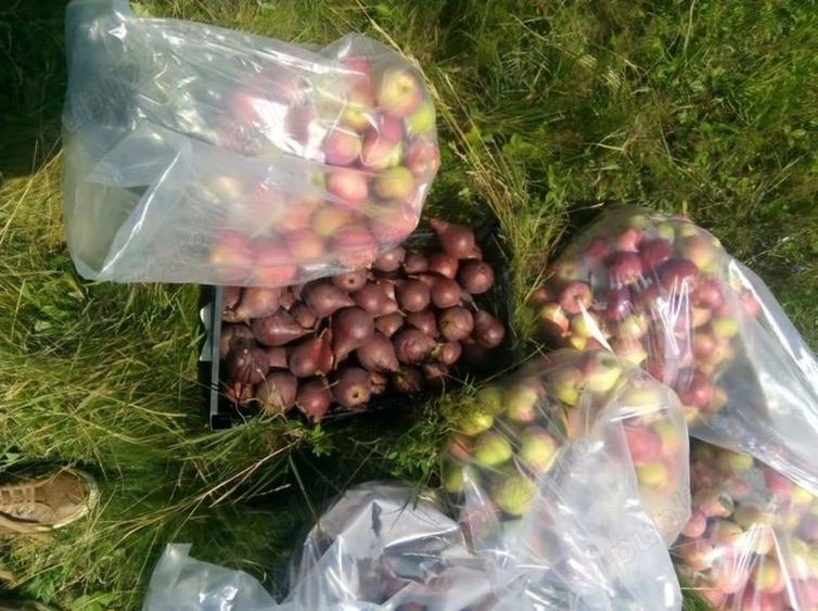 Teren de 80000 mp, în Sântimbru