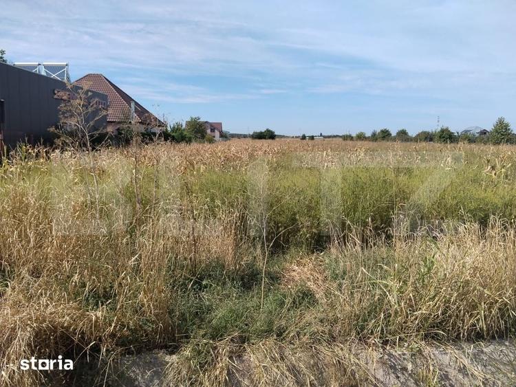 Teren de 5400 mp, în Ulmi