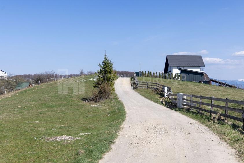 Teren Construcții intravilan de 3791 mp, în Poiana Mărului