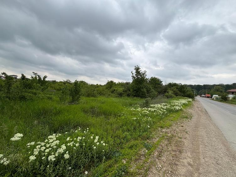 Teren 1000 mp în Mogoșoaia, la 5 minute de pădure - 4